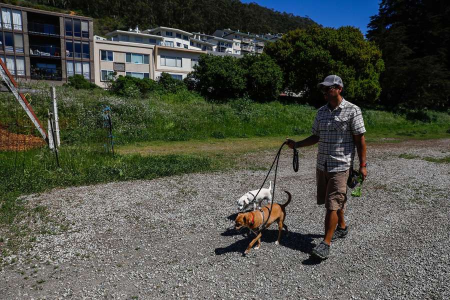 Dog walker passing a public lot